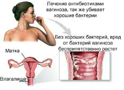 місячних