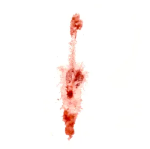 місячні