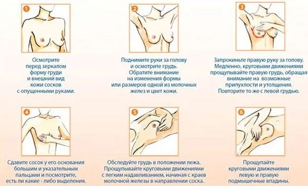 Чому перед місячними болять груди (місячних) менструальним циклом