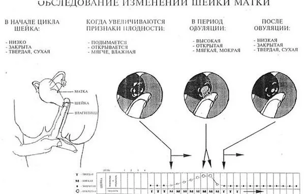 виділення після першого разу