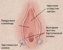 жіночі хвороби