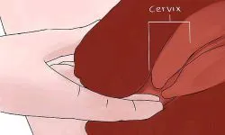 зупинити кровотечу при місячних