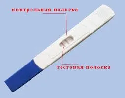 Коли робити тест на вагітність? (місячних при) організм жінки