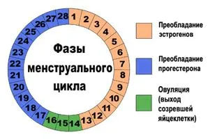місячних