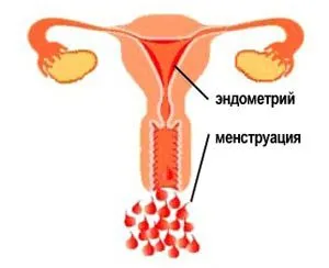 менструації
