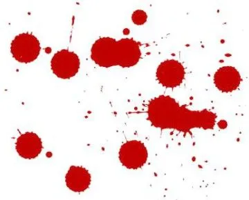 Що за кров'янисті виділення після статевого акту? (жіночий організм) після пологів