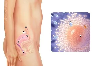 можуть