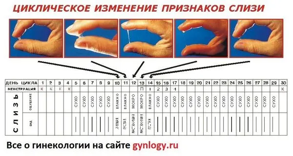 менструації
