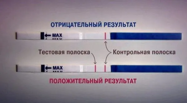 тест на вагітність