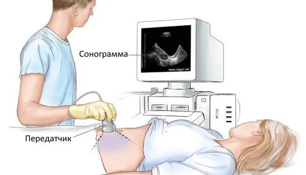 місячних
