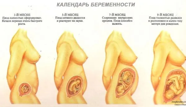 місячних