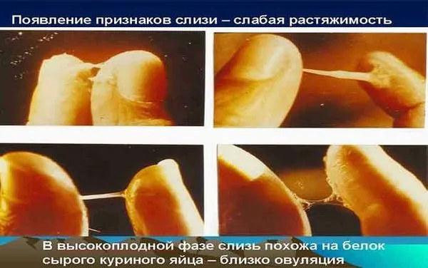 менструації