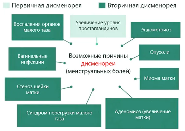 болючі менструації у дівчат
