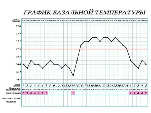 місячні