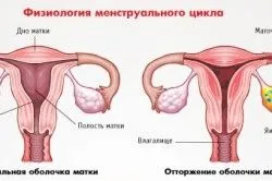 місячних