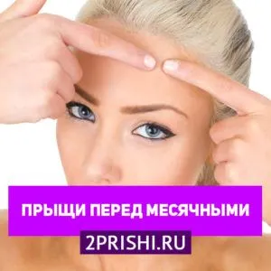 менструальний цикл