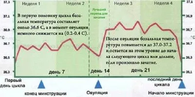 місячні