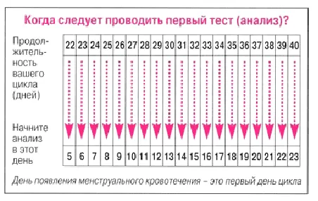 менструальним циклом