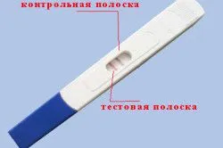 менструального циклу