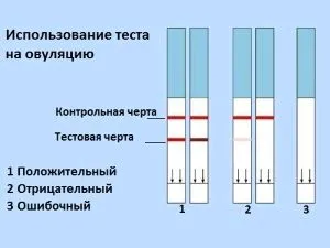 настання вагітності