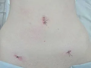 що не можна робити при менструації