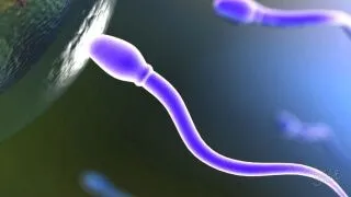 чи можлива вагітність при місячних
