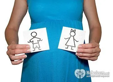 немає овуляції можна завагітніти
