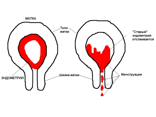 Чи можна купатися при місячних? (при місячних) при місячних