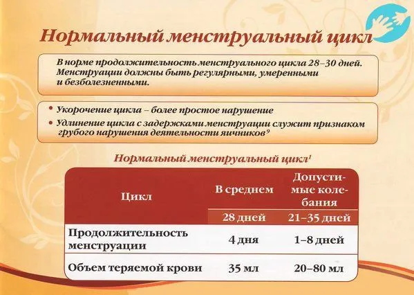 менструальний цикл