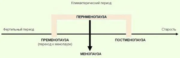 менструації