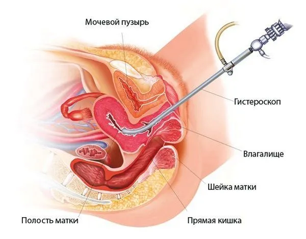 скільки днів тривають місячні