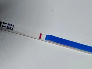 місячні