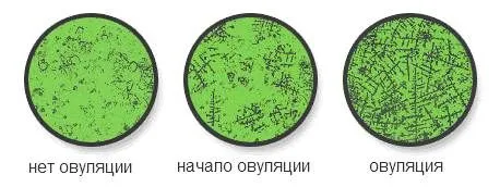 гормональний фон
