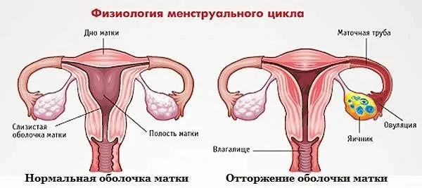 при місячних