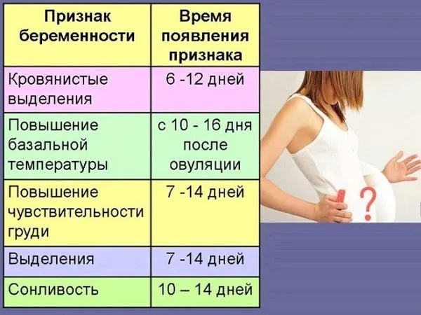 Імплантація в день місячних, до, під час або після: як зрозуміти, що це вона? (менструації) внизу живота