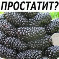 Місячні після аборту (медикаментозного переривання вагітності): коли починаються? (менструації) затримка місячних після чищення