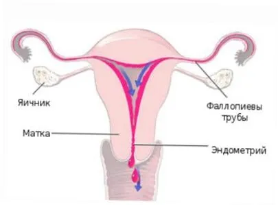 первинна аменорея