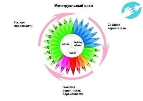 місячних