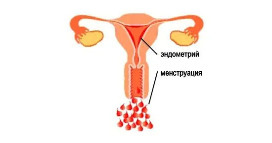 Причина та лікування затримки місячних крім вагітності (менструації) місячні