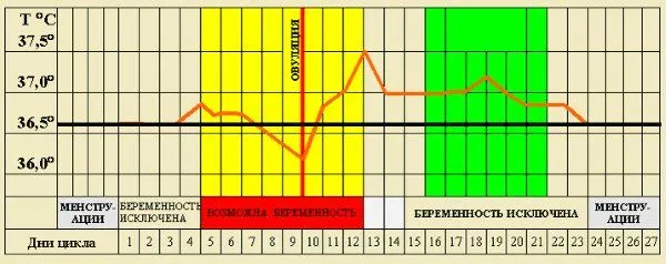 вагітність на 11 день після місячних