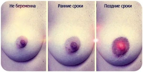 гормональний фон