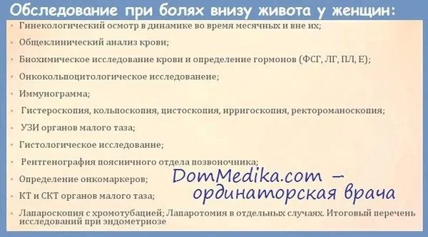 менструальний цикл