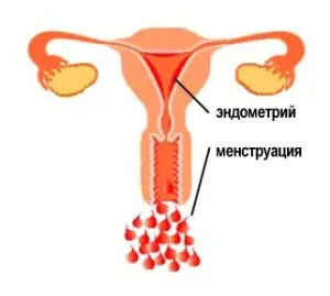 місячних