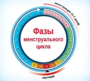 Причина та лікування затримки місячних крім вагітності (місячні) менструальний цикл
