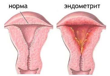 менструальний цикл