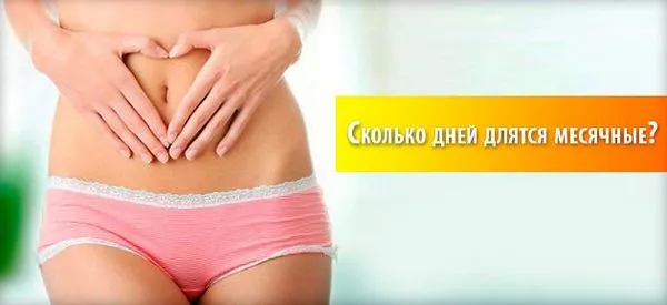 Скільки тривають місячні: норма тривалості менструального циклу і як вважати (відео) (менструальним циклом) скільки тривають місячні