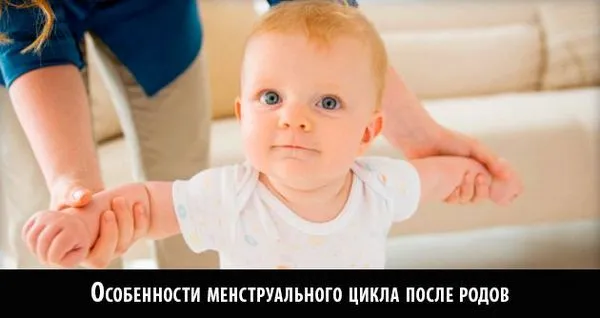 Скільки тривають місячні: норма тривалості менструального циклу і як вважати (відео) (місячні) менструальний цикл
