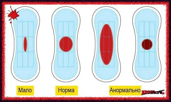 місячні