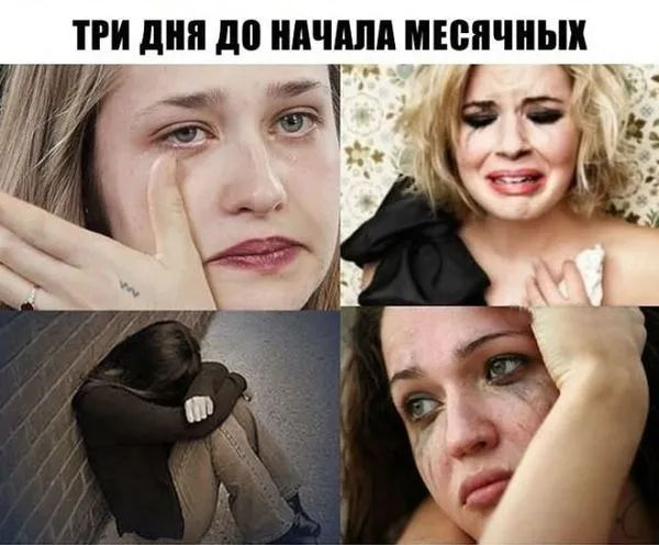 менструальний цикл