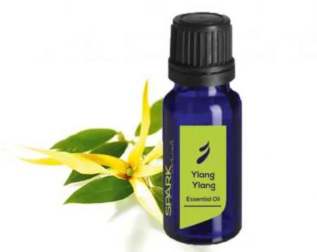 Ulei esențial de Ylang-ylang pentru proprietățile părului, recenzii, aplicare